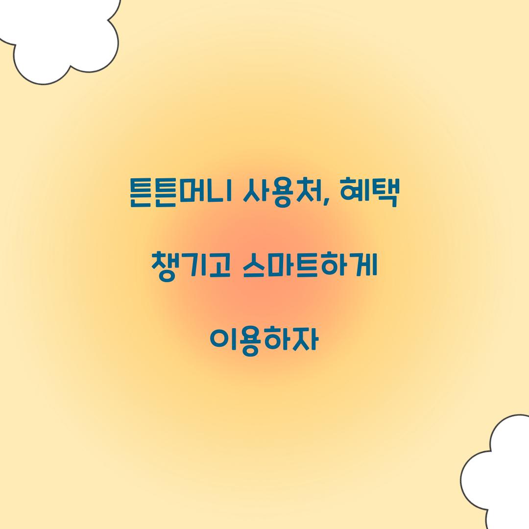 튼튼머니 사용처