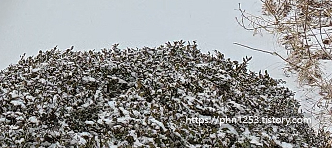 Alt 속성 문제 해결 설명 이미지
