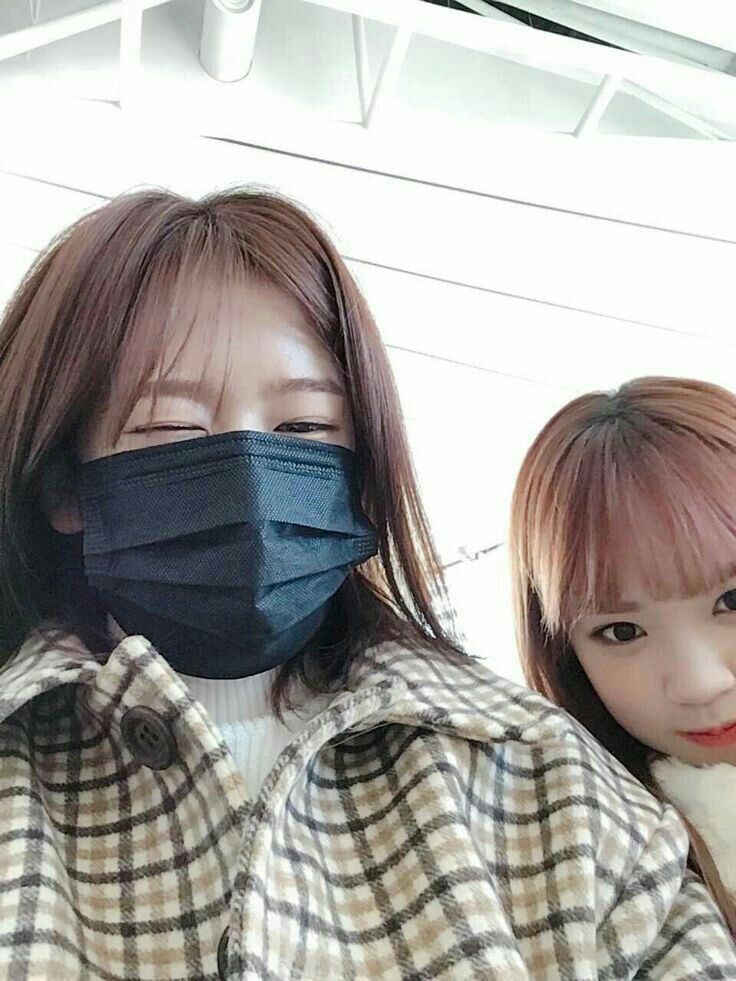 아이즈원 프로듀스48 사진 모음 아이즈원 프로듀스48 사진 모음