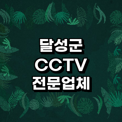 대구 달성군 cctv