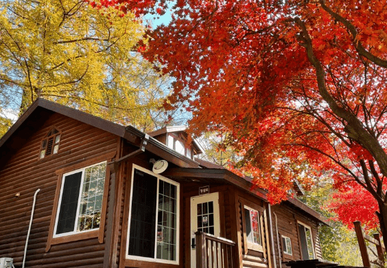 국립자연휴양림 6월부터 2자녀 가구도 최대 30% 감면 혜택