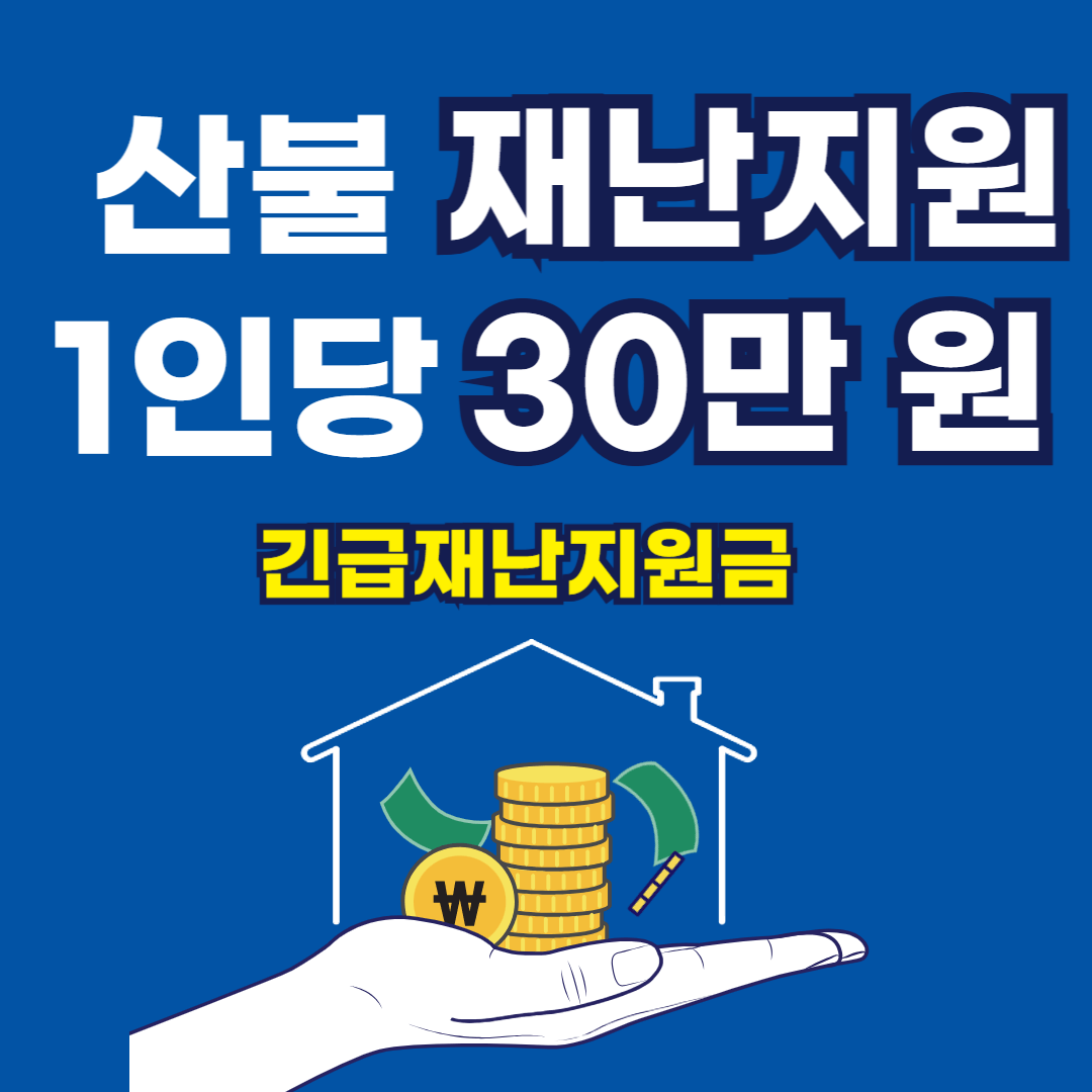 산불 재난지원금