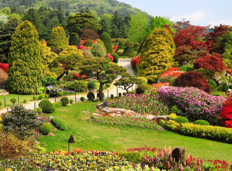 아침고요수목원 수국전시회