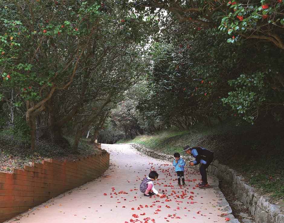 옥룡사 동백나무숲