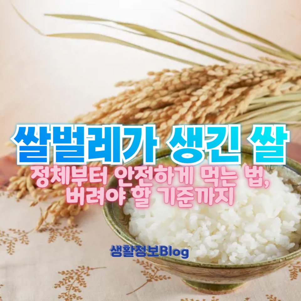 쌀벌레가 생긴 쌀