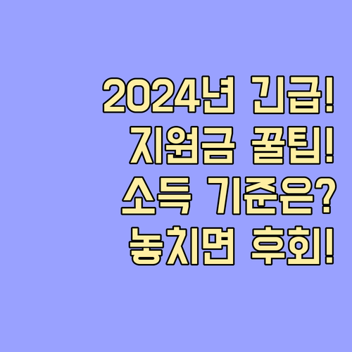 2024년 긴급복지 생계지원금 소득 ..