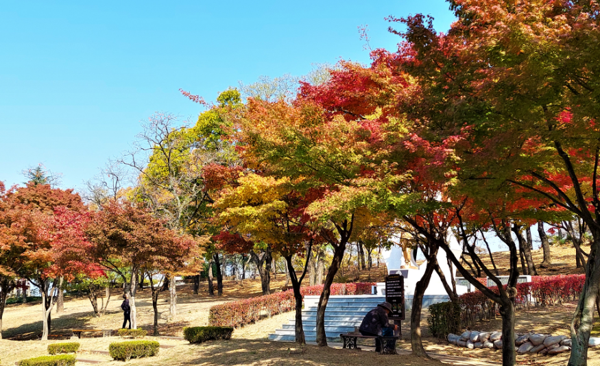 대구 단풍놀이 추천 첫 번째: 망우당공원(동구 효목동)2
