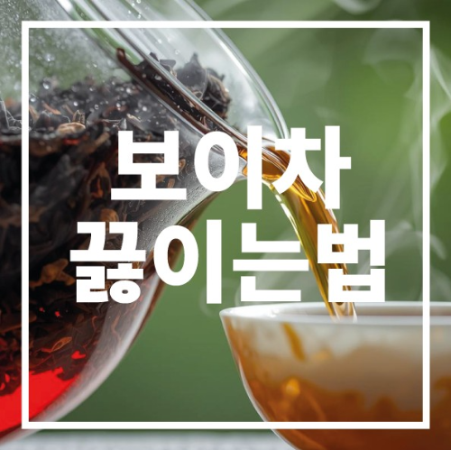 보이차 끓이는 법