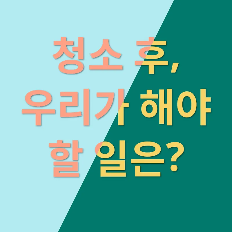 이사청소의 마법_3