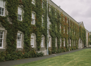 대학교 사진입니다.