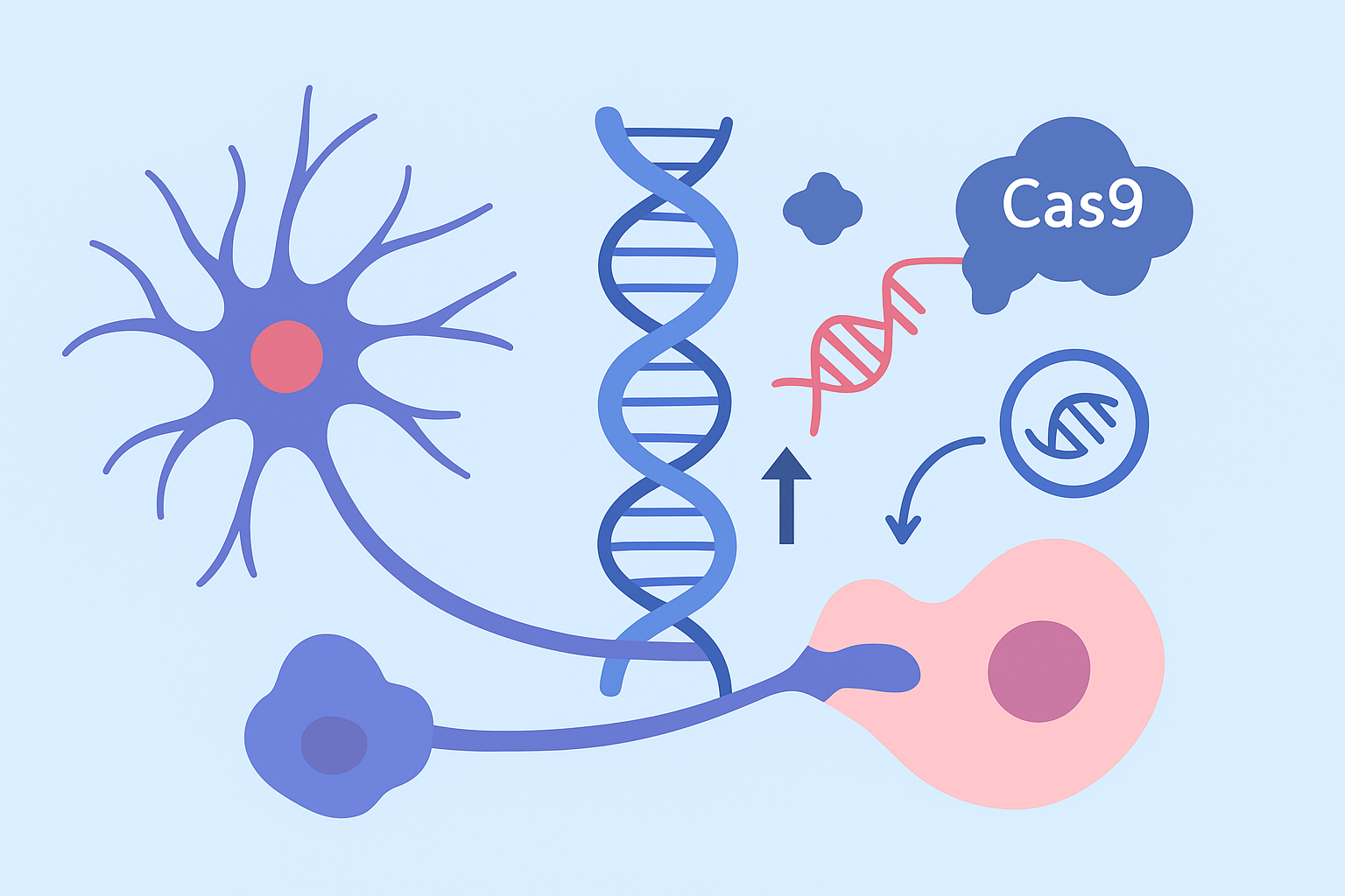 신경사이질병증