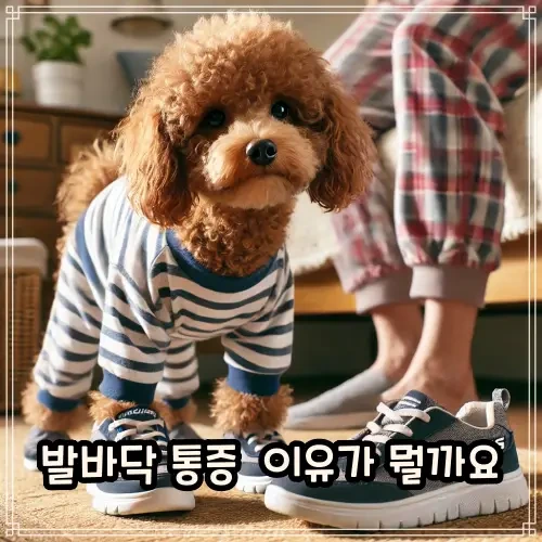 족저근막염-정형외과-내원