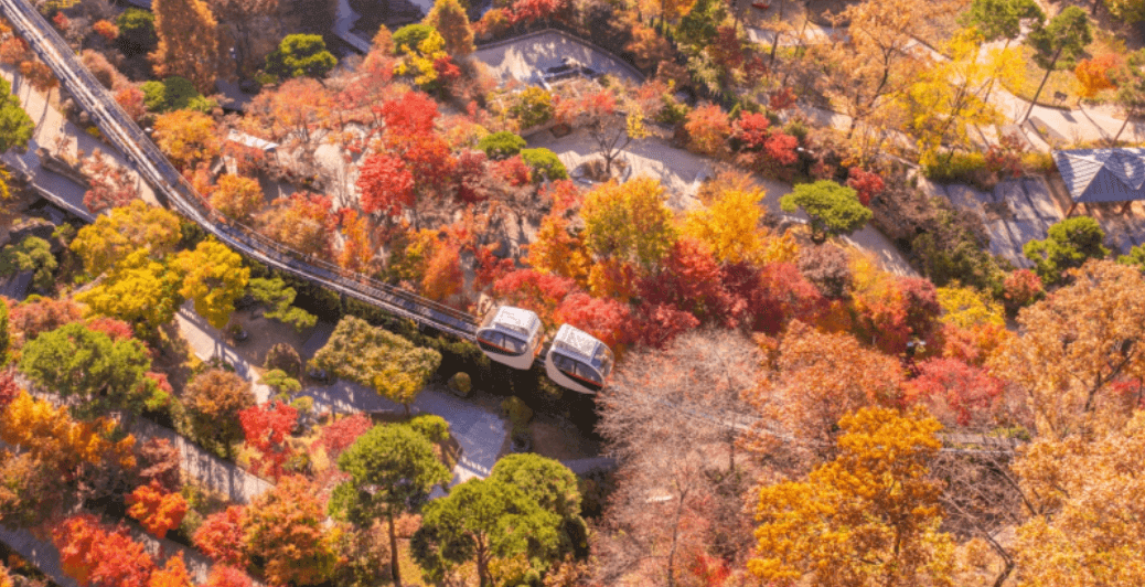 화담숲-단풍-절정시기