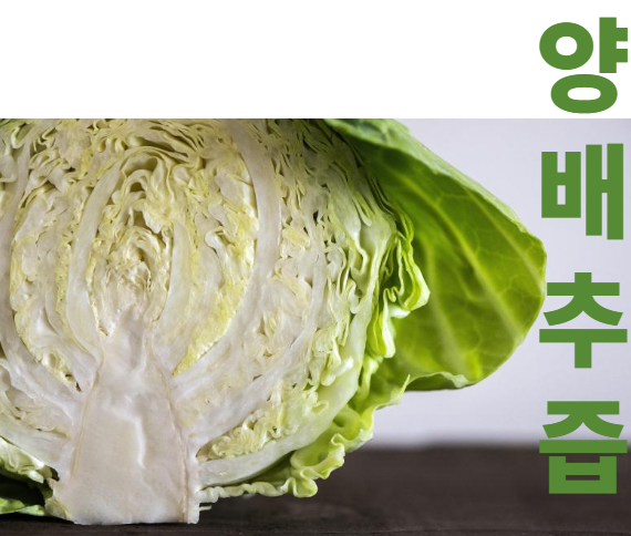 양배추즙 효능