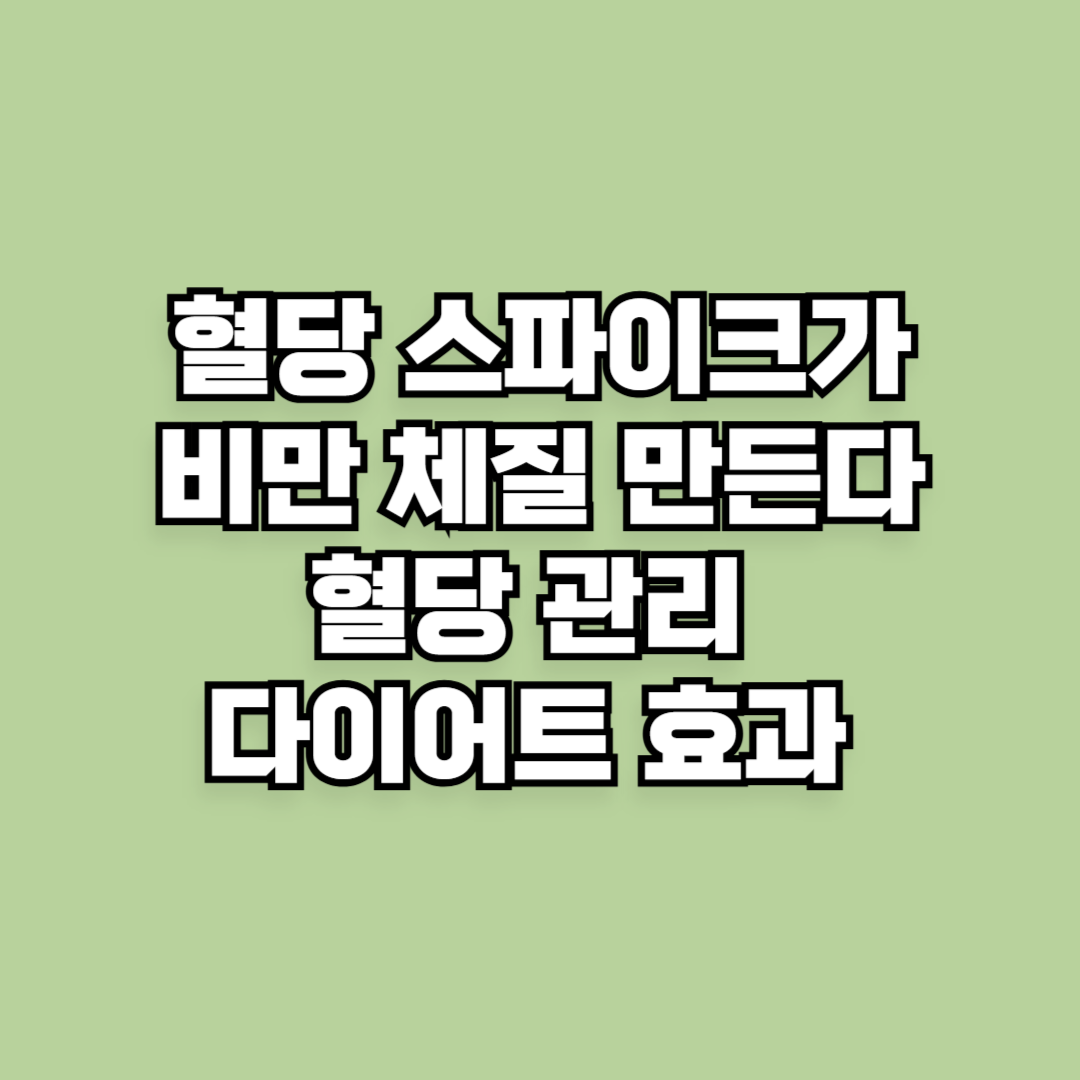 혈당 스파이크가 비만 체질 만든다? 혈당 관리 다이어트 효과