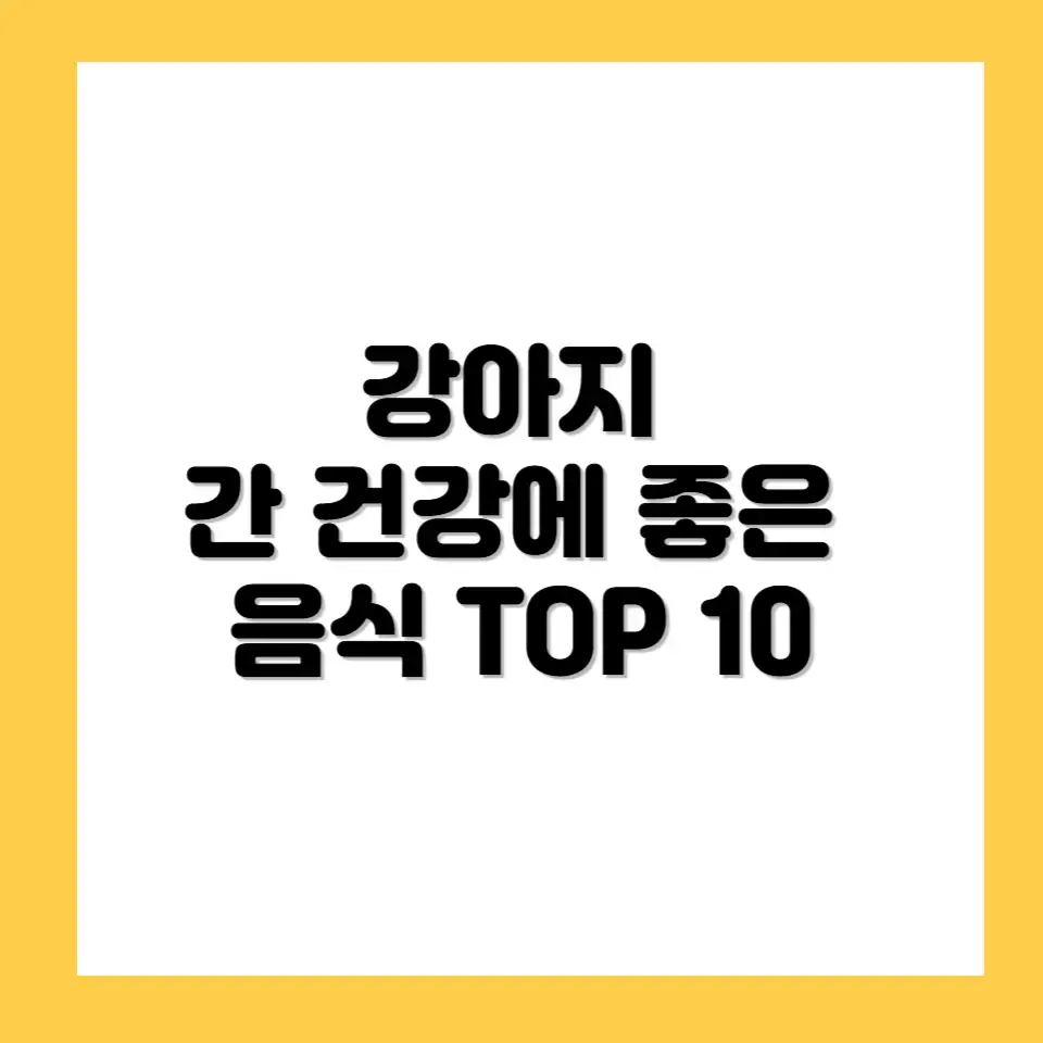강아지 간 건강에 좋은 음식 TOP 10