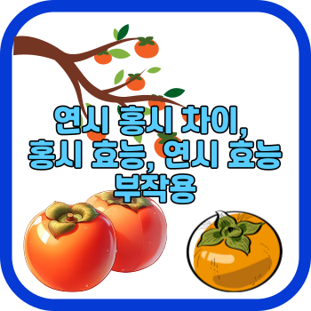 연시 홍시 차이, 홍시 효능, 연시 효능과 부작용