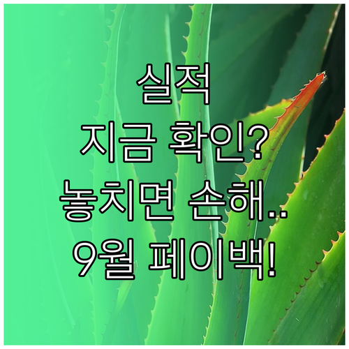 9월 상생페이백 실적, 지금 바로 조..