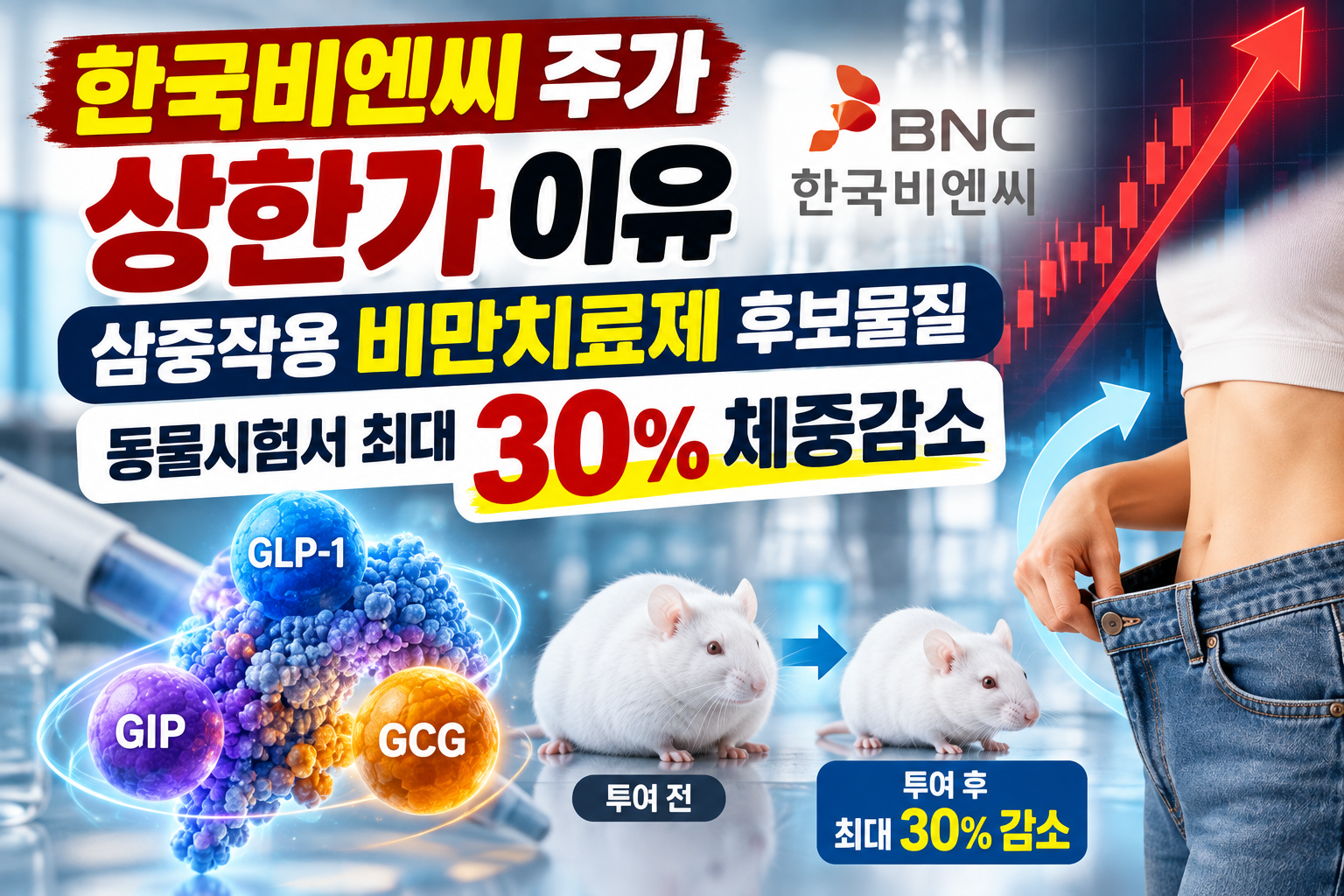 한국비엔씨 주가 상한가 삼중작용 비만치료제 동물시험 30% 체중감소