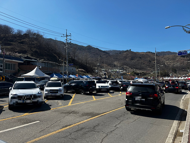 24년 광양 매화 축제 일정 요금 주차