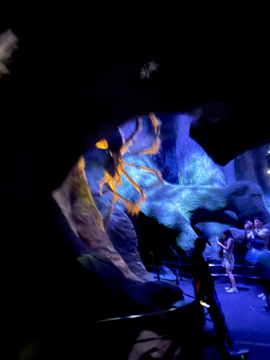 해리포터의 거미 친구 아라고그(Aragog)