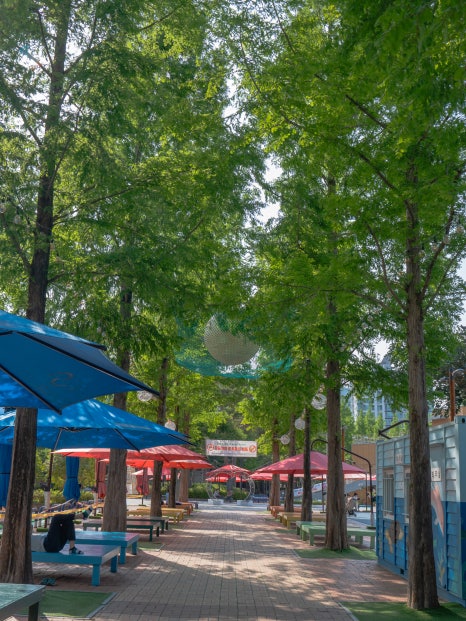 부산 정관 윗골공원