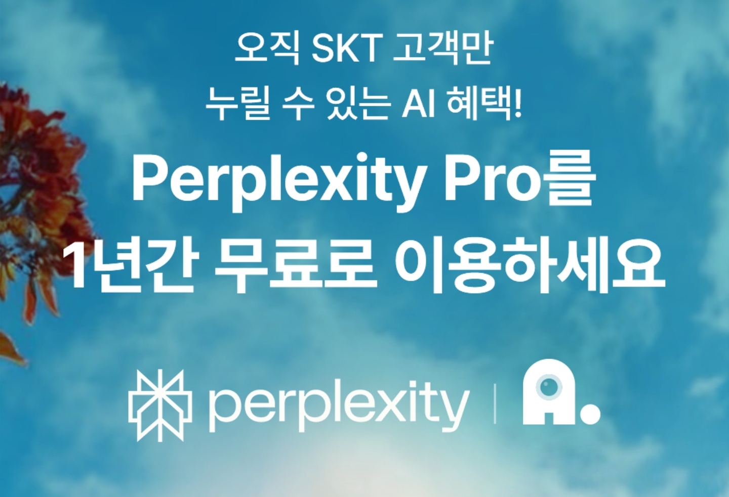 SKT PERPLEXITY 무료