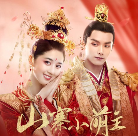 재밌고 웃긴 로맨틱 코미디 중드 추천 - 여생청다지교, 반시밀당반시상, 보스가결혼하재요2, 량신미경호시광, 산채소맹주