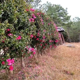 압해도 분재공원 근처 선착장에서의 낚시 농어와 도다리 포인트 소개 완벽 낚시터_1