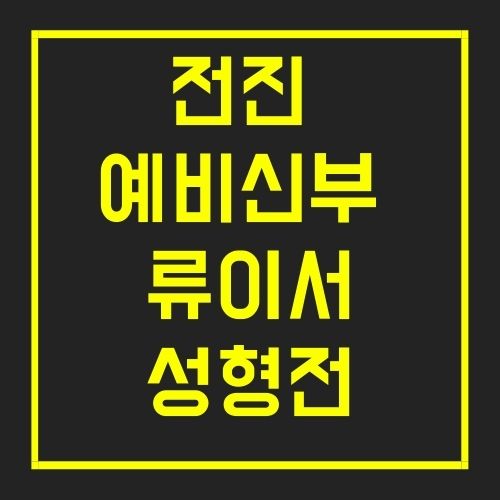 류이서 성형전