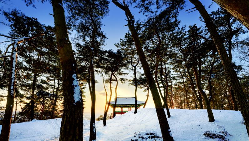 부여 가볼만한곳 베스트10