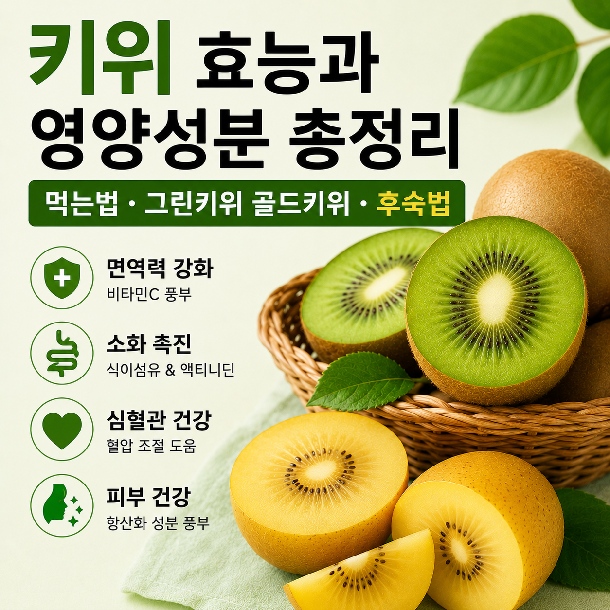 키위 효능과 영양성분