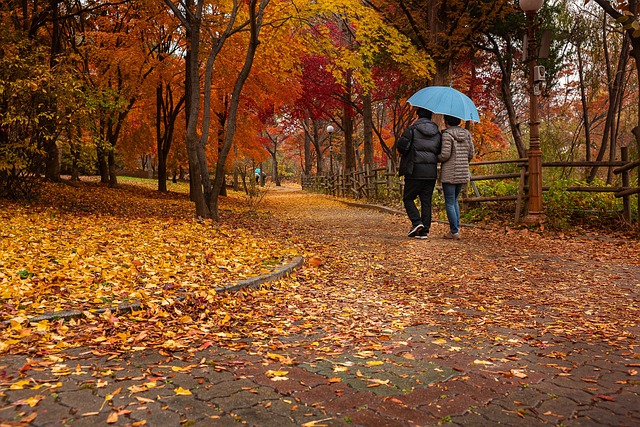 운전면허 분실했을 때 재발급 방법 총정리! 갱신부터 신고까지 한 번에