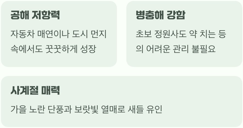5. 공해에도 끄떡없는 튼튼한 생명력