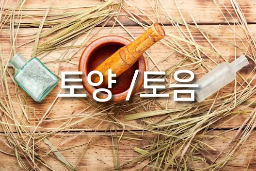 8체질-자가진단-테스트-토양-토음