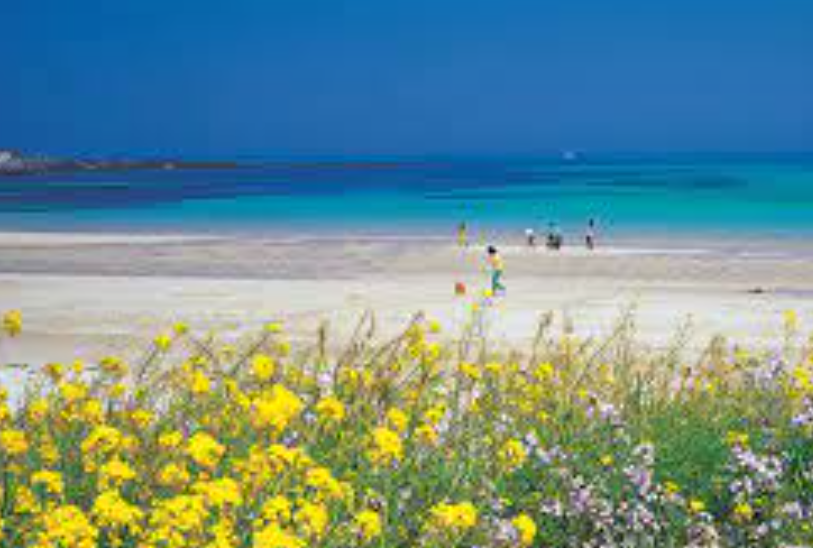 제주도 여행 코스 추천