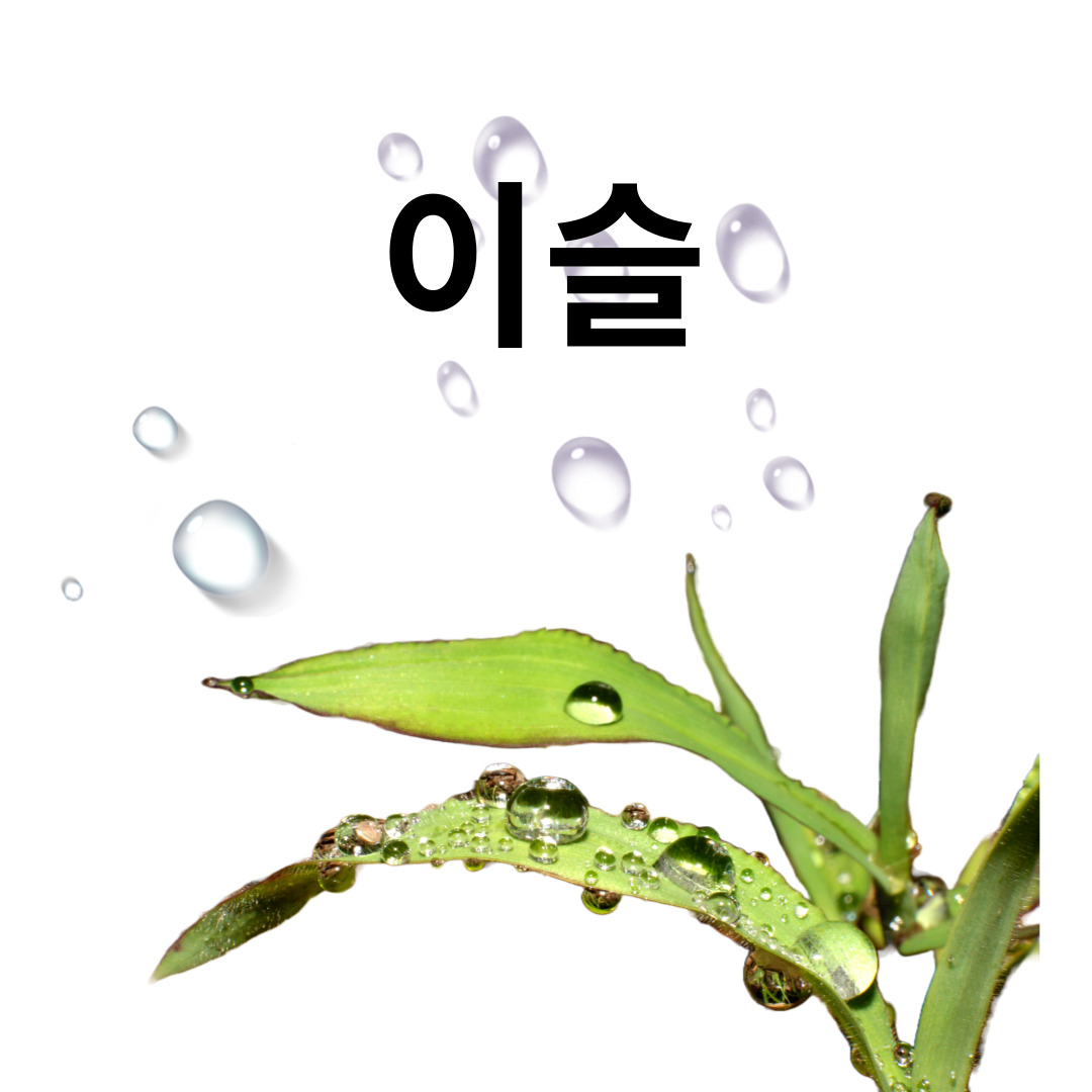 좋은-동요를-소개해-드립니다.