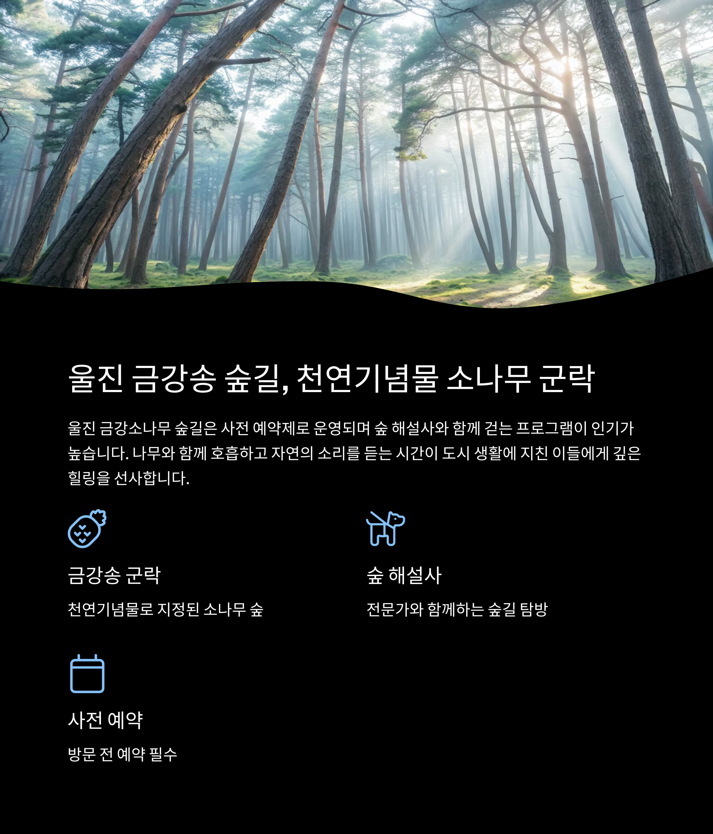 울진 금강송 숲길