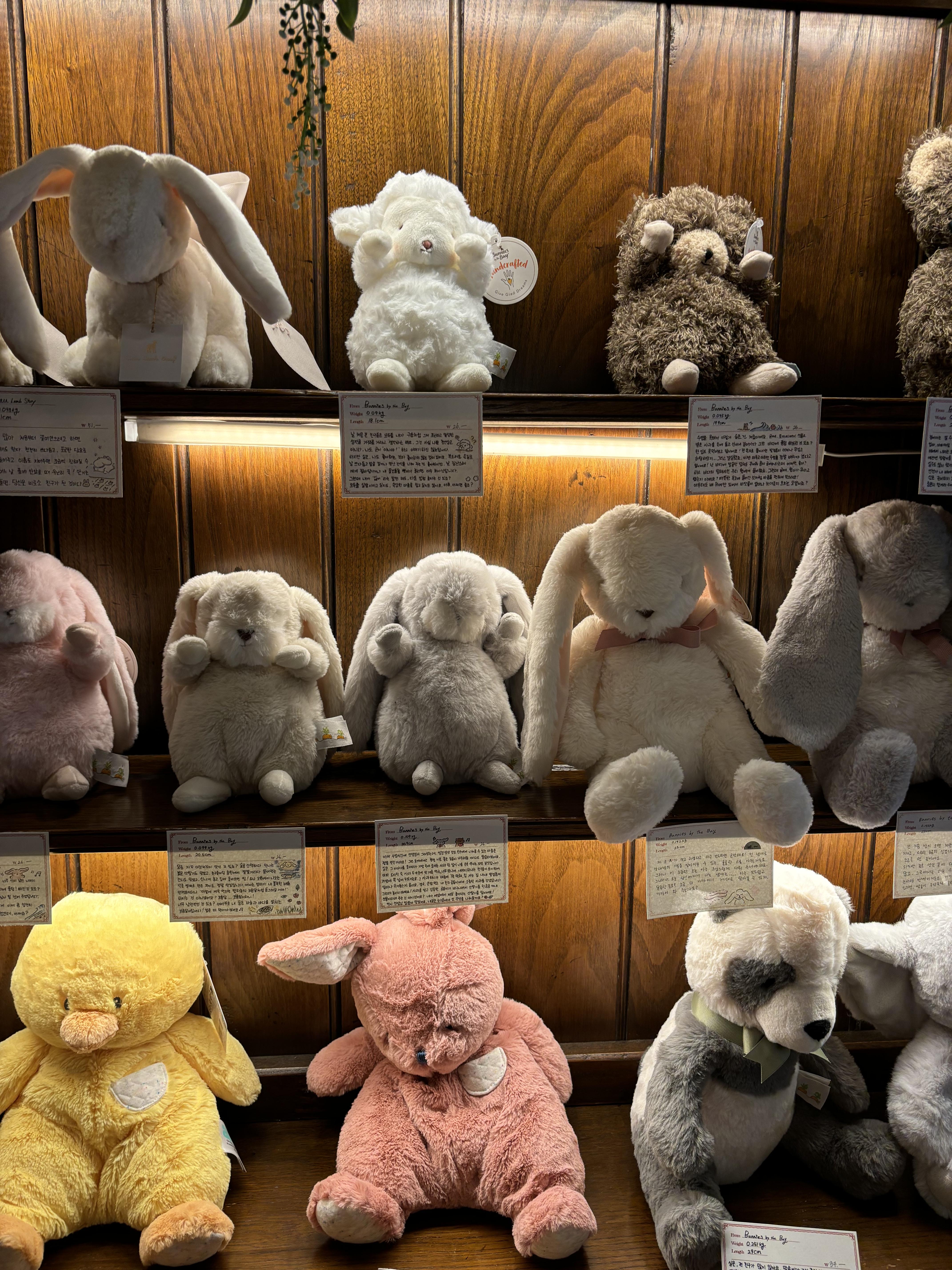 프레젠트모먼트 양, 토끼 등 인형