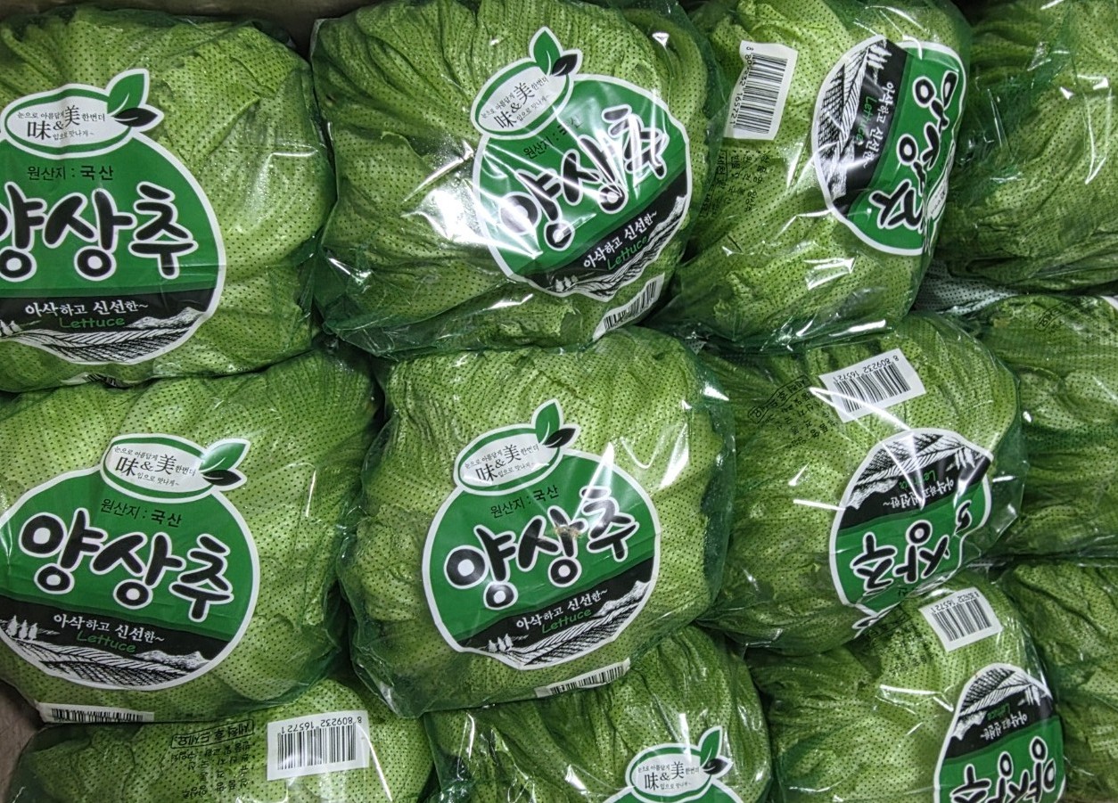 포장 되어 있는 여러개의 양상추