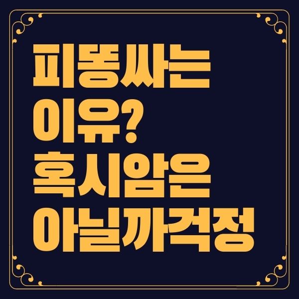 피똥사는 이유 대장암