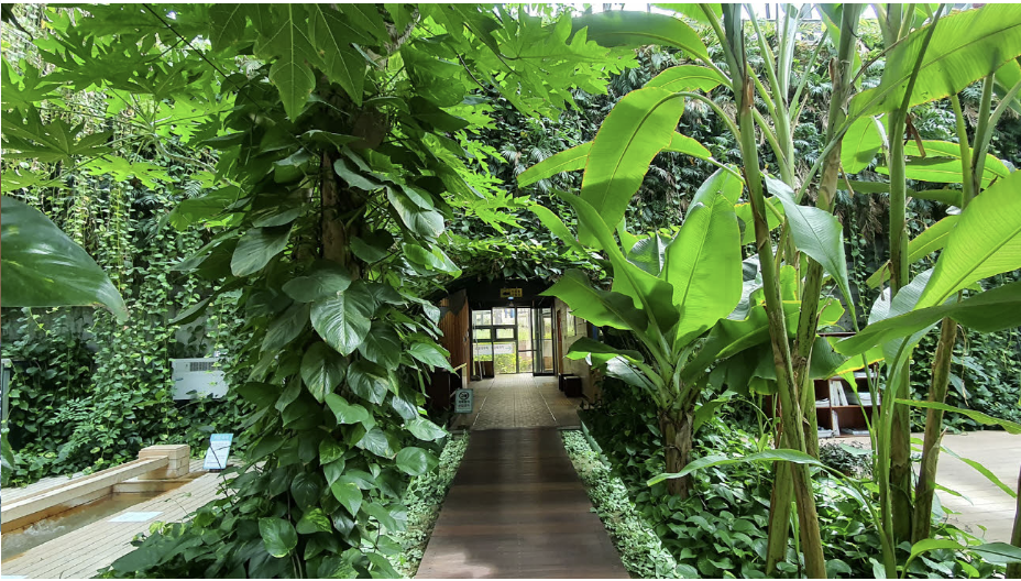 미리내힐빙클럽