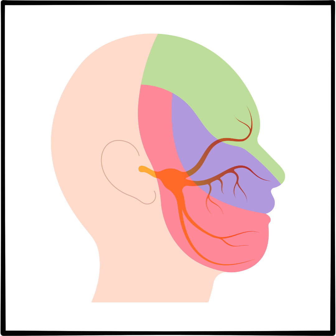 삼차신경통 증상 치료법 5가지 수술 잘하는 병원추천