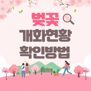 벚꽃-개화현황-썸네일