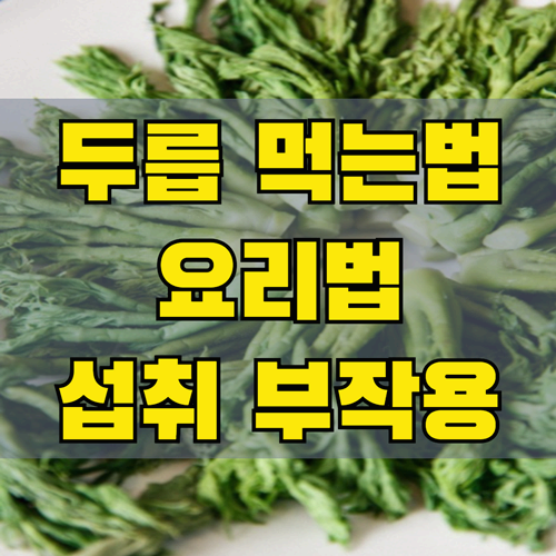 두릅 먹는법부터 종류별 요리법