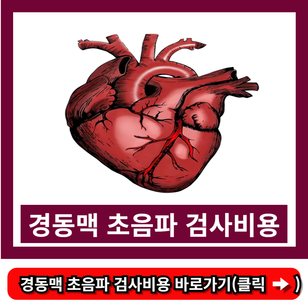 경동맥 초음파 검사비용