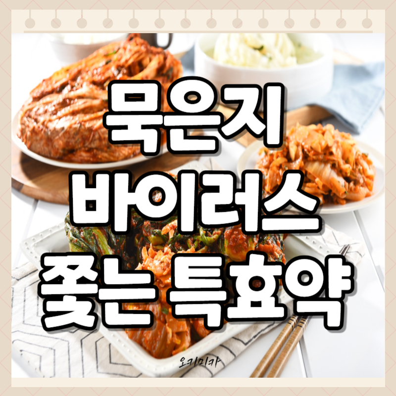 김장김치_묵은지