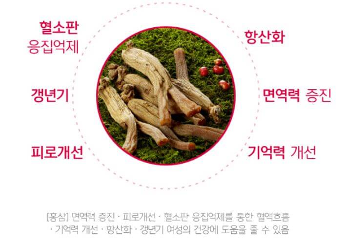 홍삼
