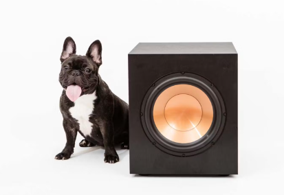스피커와 개.