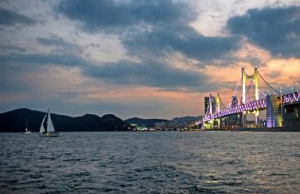 요트 위에서 반려견이 바다를 바라보는 모습